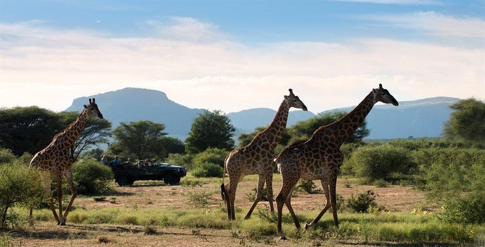 Marataba Safari Lodge Hartbeestfontein Εξωτερικό φωτογραφία